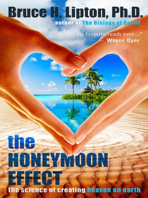 cover image of The Honeymoon Effect